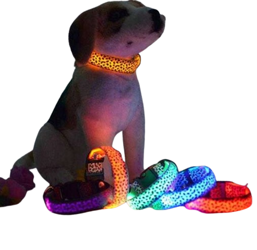 Φωτεινό περιλαίμιο - κολάρο σκύλου - 2.5cm - S/M/L - 10pcs - 550231